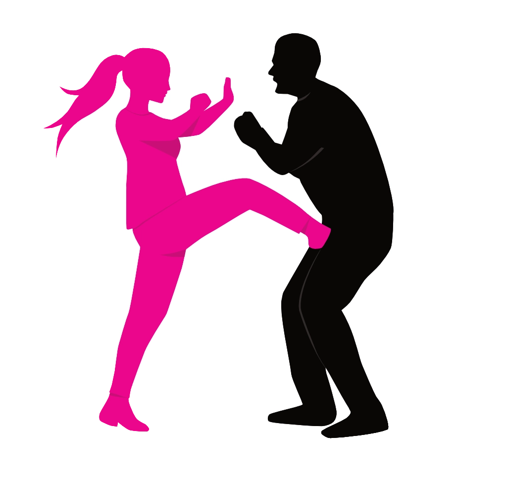 EinfachSicher Icon klein